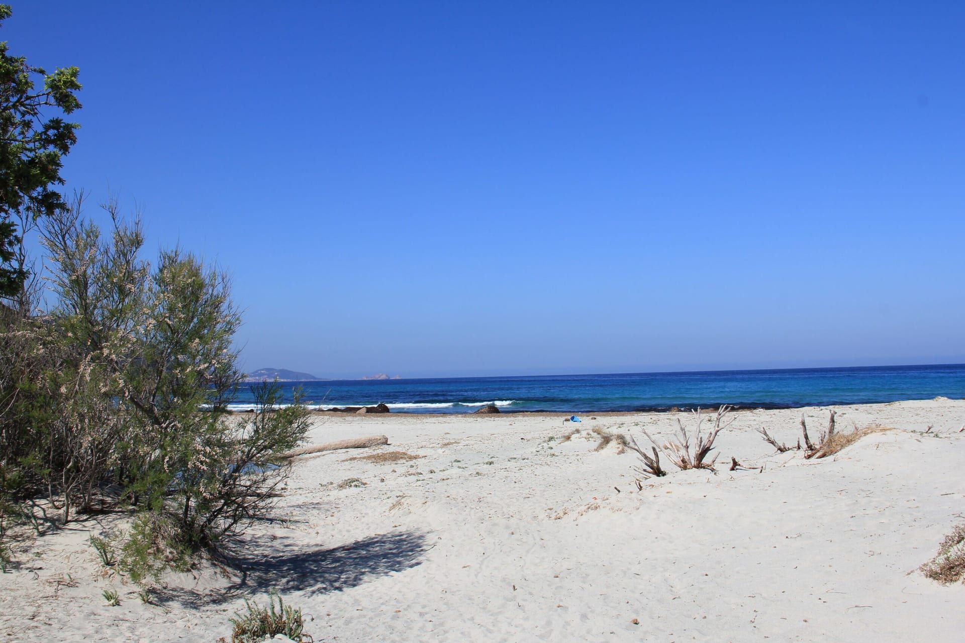 Strand der Balagne mit weißem Sand, Düne und türkisem Mittelmeer