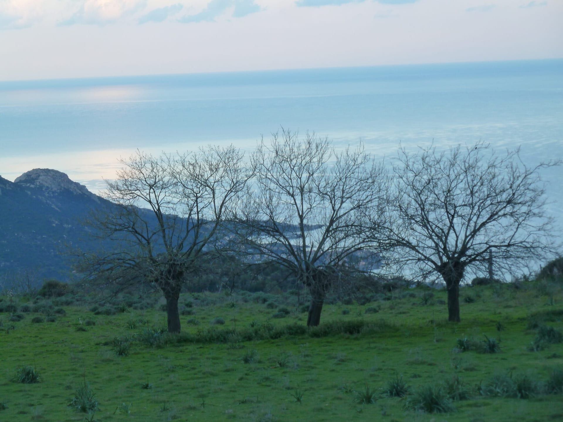 Korsisches Hochland mit kahlen Bäumen und weitem Blick aufs Mittelmeer